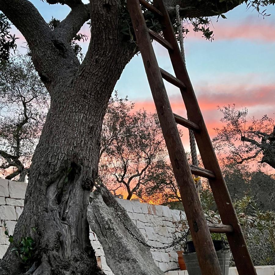 Quei Trulli Divini Bed & Breakfast Martina Franca Eksteriør bilde